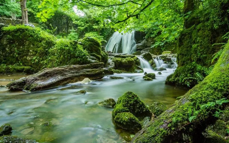 高效先进高标准